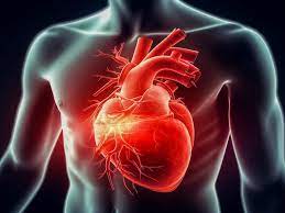 Comprehensive Cardiac Package 2